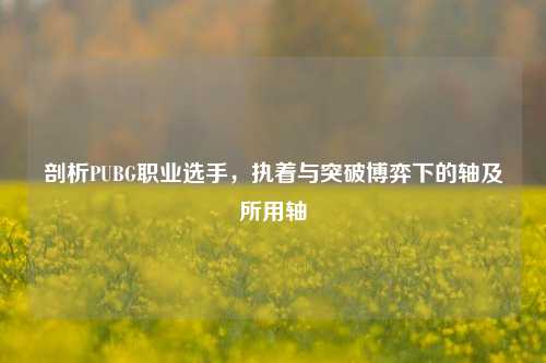 剖析PUBG职业选手，执着与突破博弈下的轴及所用轴