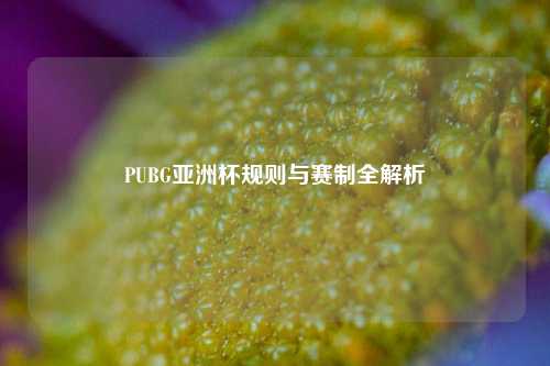 PUBG亚洲杯规则与赛制全解析