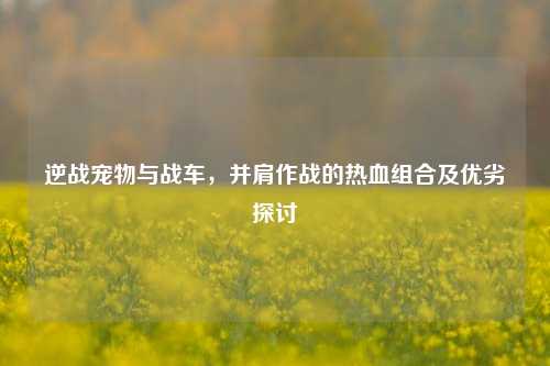 逆战宠物与战车，并肩作战的热血组合及优劣探讨