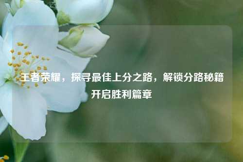 王者荣耀，探寻最佳上分之路，解锁分路秘籍开启胜利篇章