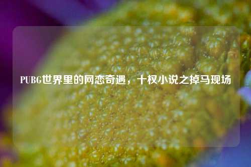 PUBG世界里的网恋奇遇，十权小说之掉马现场