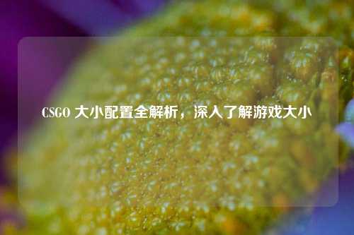 CSGO 大小配置全解析，深入了解游戏大小
