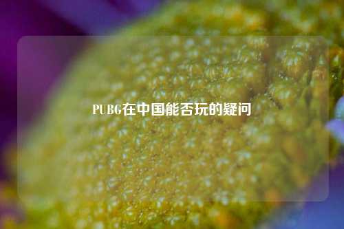 PUBG在中国能否玩的疑问